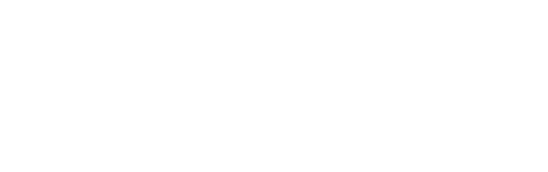 Skillfly_Logo
