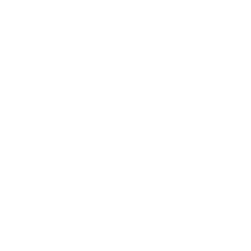 Skill Fly